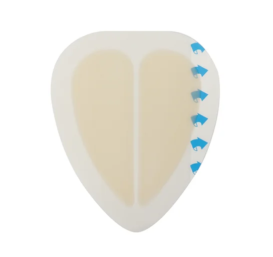 HCD-01-1